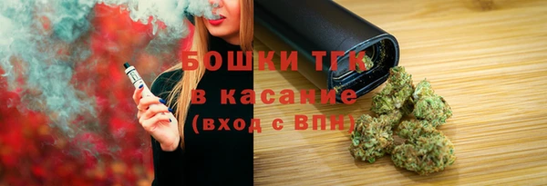 индика Заводоуковск