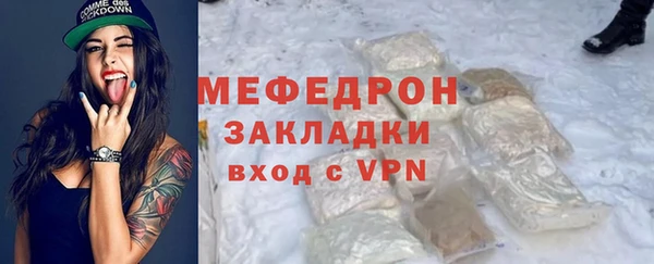 индика Заводоуковск