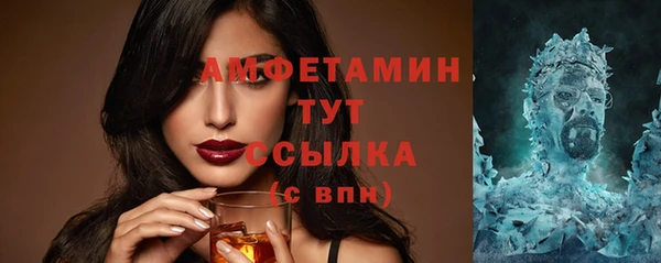 индика Заводоуковск
