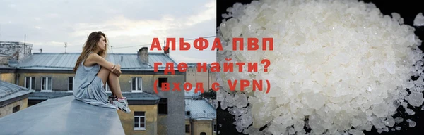 индика Заводоуковск