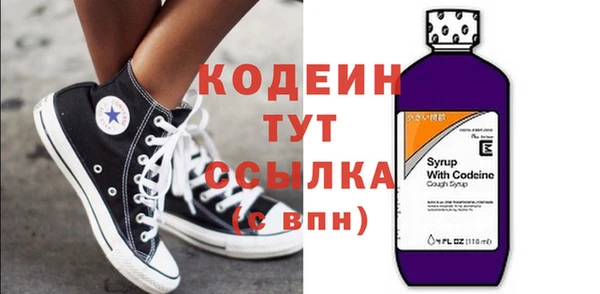 индика Заводоуковск