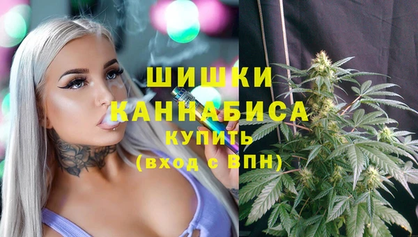 индика Заводоуковск