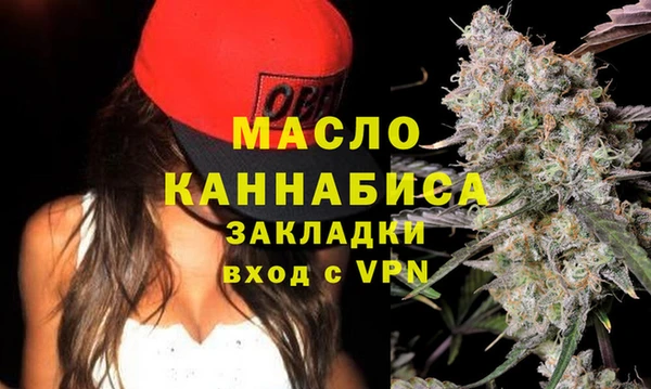 индика Заводоуковск