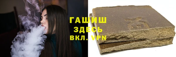 индика Заводоуковск