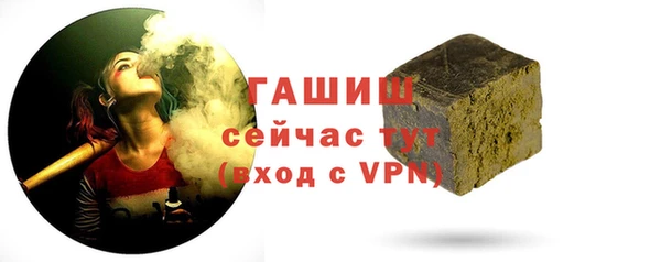 индика Заводоуковск