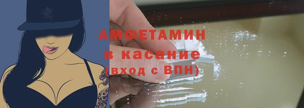 индика Заводоуковск