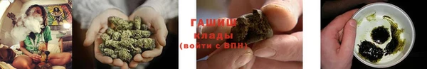 индика Заводоуковск