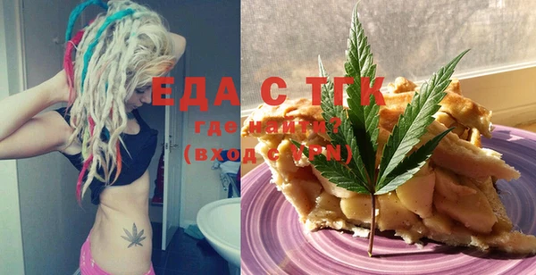 индика Заводоуковск