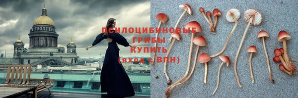 хмурый Заволжск