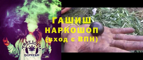 индика Заводоуковск