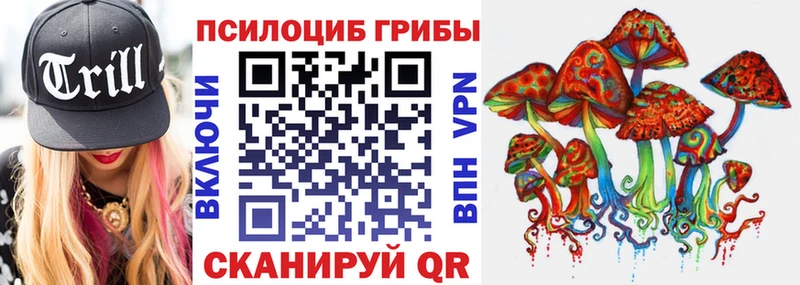 Псилоцибиновые грибы мицелий  закладки  Щёлково 